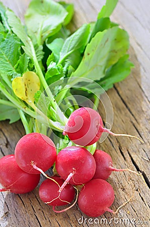 Small garden radish isolated on old wooden background Stock Photo