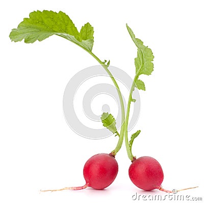 Small garden radish with leaves Stock Photo