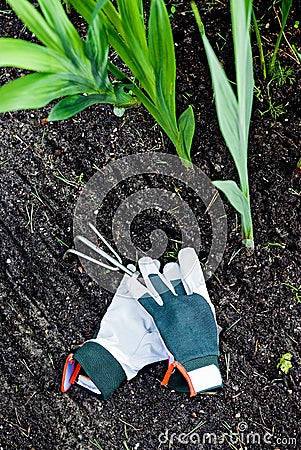 Small garden rake with gloves Stock Photo