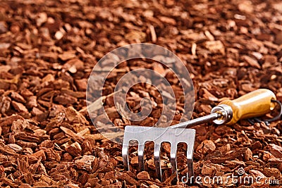 Small garden rake on wood chip pile Stock Photo