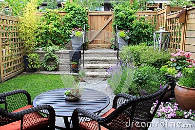 Small garden. Stock Photo