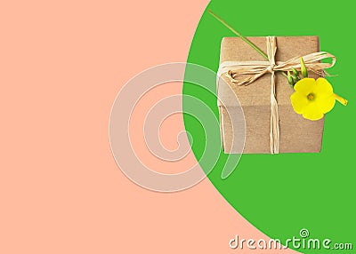 Small gift box wrapped in brown paper tied with twine yellow flower on on duotone pink green background. Present for mothers day Stock Photo