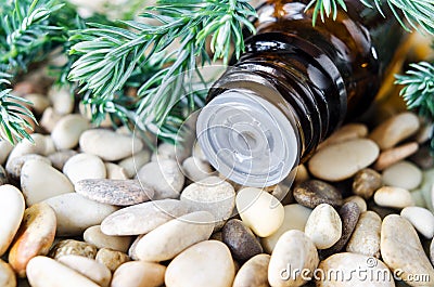 Small glass bottle with essential juniper oil. Aromatherapy, sauna, homemade spa and herbal medicine ingredients. Stock Photo