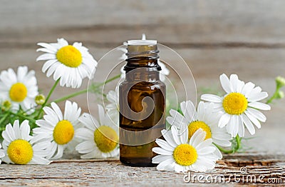 Small glass bottle with essential roman chamomile oil on the old wooden background. Aromatherapy, herbal medicine ingredients Stock Photo