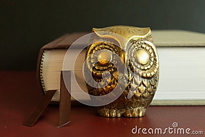 A small golden owl figure in front of a book. Stock Photo