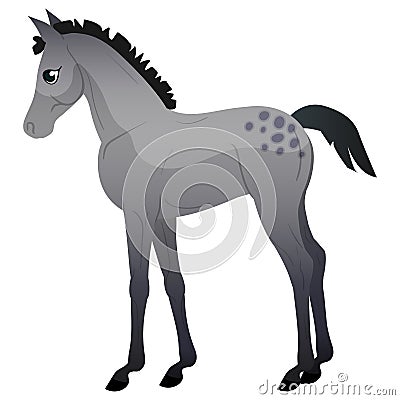 A small gray foal with spots is standing. Horses icons flat style. Vector isolated illustration Vector Illustration