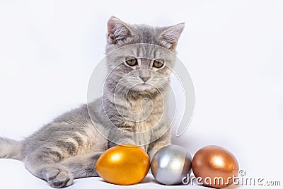 A small gray striped kitten is playing with colored colored eggs lying on a white bed. Easter with pets Stock Photo