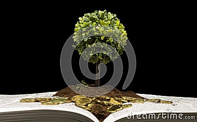 Investing in education , conceptual image Stock Photo