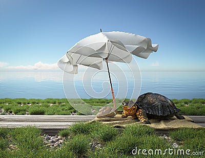 Small green turtle on the beach. Tourism concept vacation Stock Photo