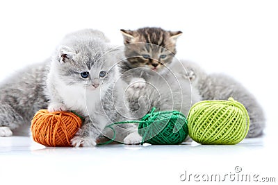 Small grey fluffy adorable kitten is playing with orange yarn ball while other kitties are playing with green wool balls Stock Photo