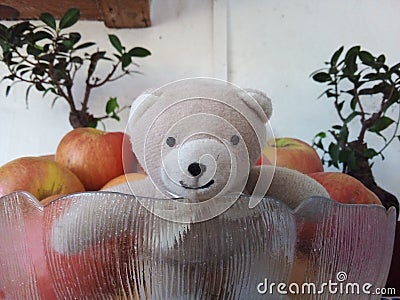 A Teddy Bear With Apples Stock Photo