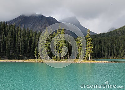 Small Group Of Cedar Trees On Lake Maligne Jasper National Park Stock Photo