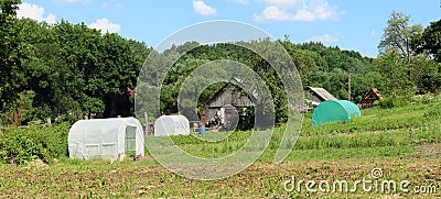 Small homemade plastic greenhouses in a rustic garden Stock Photo