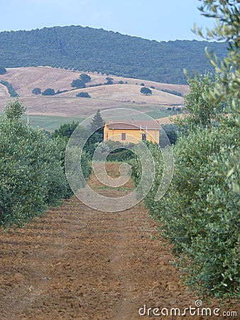 Small house in the contryside of the Toscana in Italy. Stock Photo