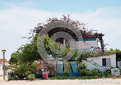 Small House Surrounded By Vegetation On Ilha De Culatra Portugal Stock Photo