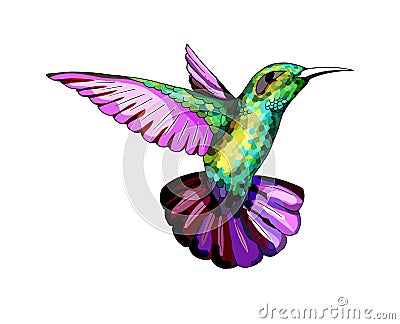 Small hummingbird. Exotic tropical colibri animal icon. Golden emerald feathers Vector Illustration