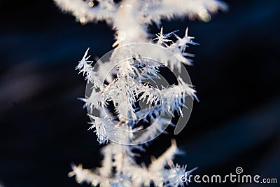 Small icicles on grass macro. Season transition. Amazing nature concept Stock Photo