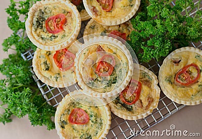 Small Individual Quiche With Parsley. Stock Photo