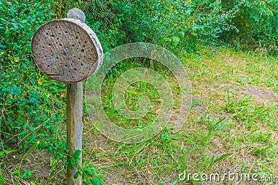 Insects house in a forest landscape garden Stock Photo