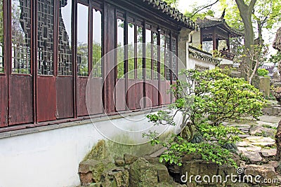 A small internal Chinese courtyard and trees. City of Shanghai Stock Photo