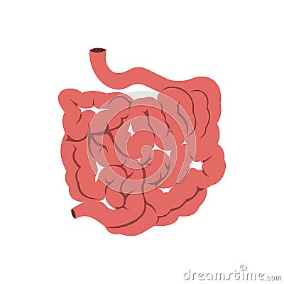 Small intestine icon Vector Illustration