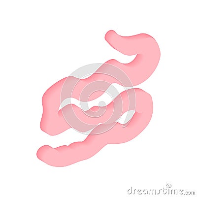 Small intestine isometric 3d icon Vector Illustration