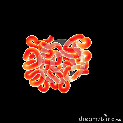 Small Intestine posterior view Stock Photo