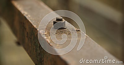 Small iron made screws isolated object photo Stock Photo