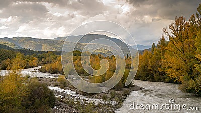 A small island of yellow autumn trees along the river in AÃ­nsa Sobrarbe, Aragon Stock Photo