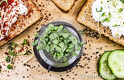 Small jar with basil microgreen sprouts and sandwiches with cream cheese, microgreens, cucumber and spices on cutting board. Stock Photo