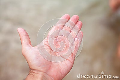 small jellyfish on a large male palm Stock Photo
