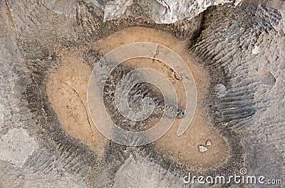 Small karst features in limestone Stock Photo