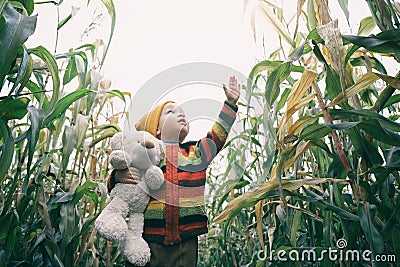 Small kid with his friend toy taddy bear exploring nature together. Cute smiling toddler child walking through autumn cornfield, Stock Photo