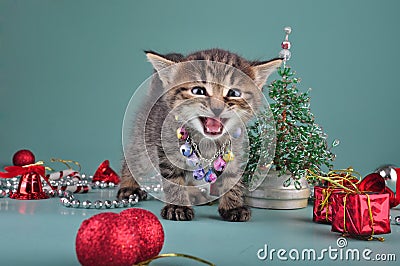 Small kitten among Christmas stuff Stock Photo