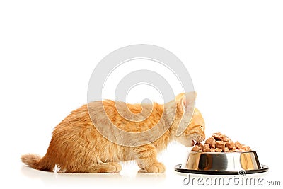 Small kitten eats from a steel bowl Stock Photo