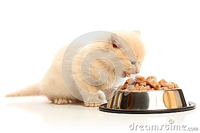 Small kitten eats from a steel bowl Stock Photo