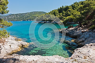 Small lagoon with pine trees and rocks over crystal clear turquoise water near Cape Amarandos at Skopelos island Stock Photo