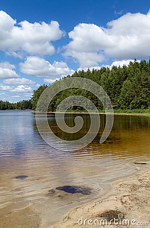 Small lake in the forest Stock Photo