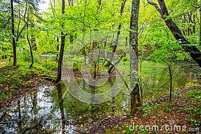 A small lake inside forest in autumn time / Plitvice lakes/ Croatia/ Parks Stock Photo