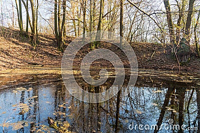 Small lake with trees and sky mirroring on waterground during beautiful springtime day Stock Photo