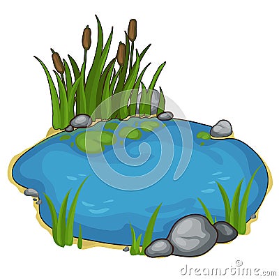 Small lake with reeds. Vector in cartoon style Vector Illustration