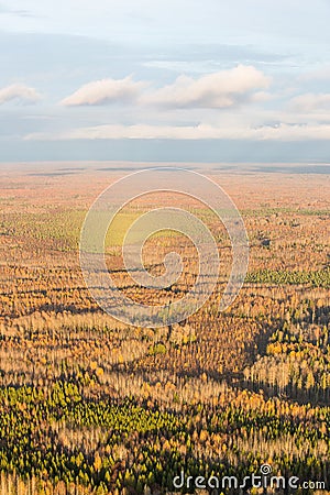 A small lake, shaped like a human eye, bordered by trees and reeds. Stock Photo