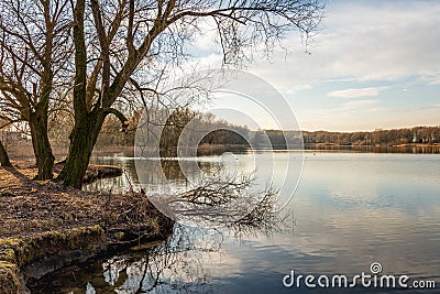Small lake on a windless day in the winter season Stock Photo