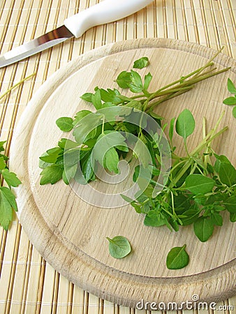 Small-leaved basil and lovage Stock Photo