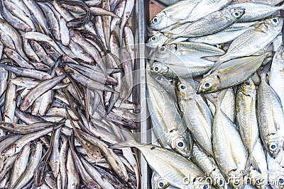 Small Marine Cat fish and Yellow stripe scad, locally known as Salay salay for sale at a public market Stock Photo