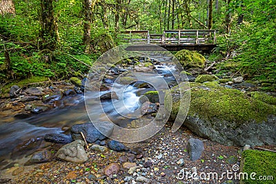 Small Mountain Stream and Bridge Stock Photo