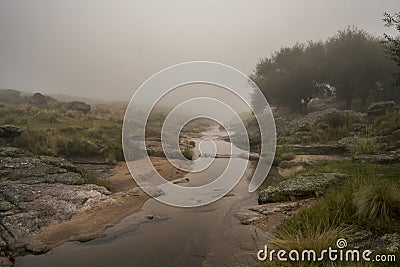 small mountain stream in the fog Stock Photo