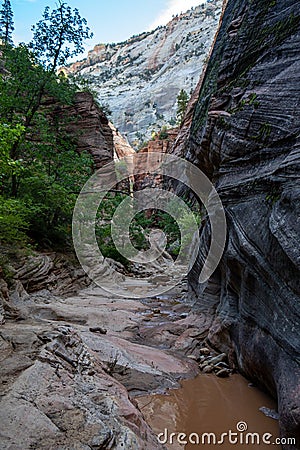 Small muddy creek flowing through the canyon along the Observation Point trail in Zion National Park Utah Stock Photo