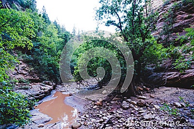 Small muddy creek flowing through the canyon along the Observation Point trail in Zion National Park Utah Stock Photo