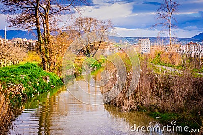 Small Muddy River Stock Photo